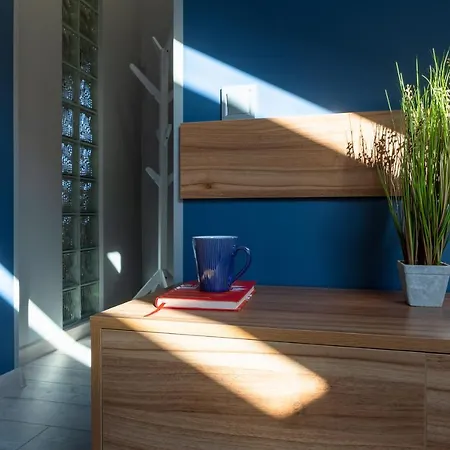 Lion King D4 Leópolis