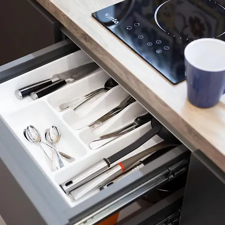 Lion King D4 Lemberg