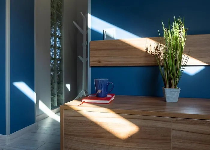 Lion King D4 Leópolis